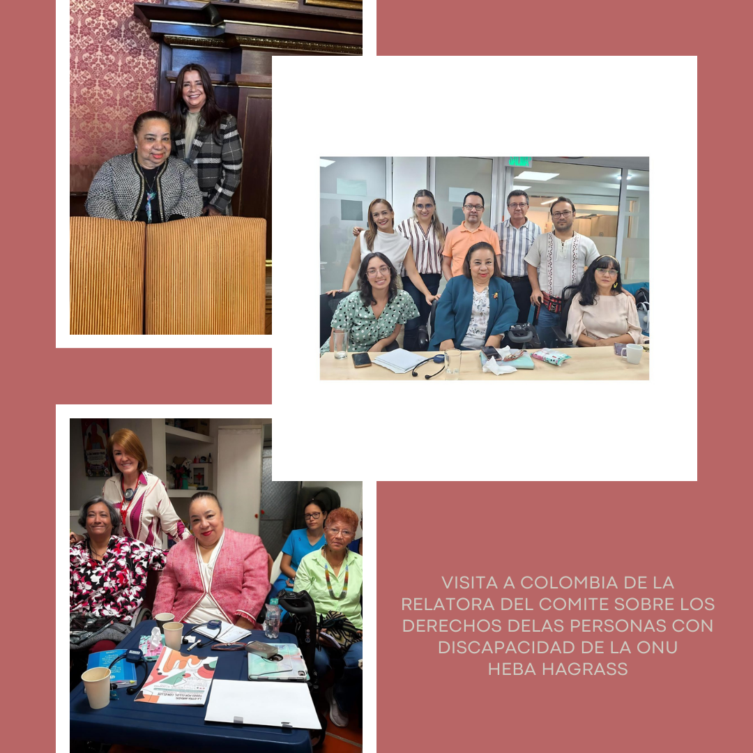 Visita Relatora ONU Visita Relatora ONU